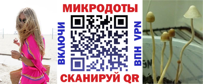 купить закладку Белозерск Псилоцибиновые грибы ЛСД